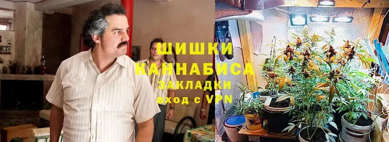 Канабис OG Kush  Аксай 